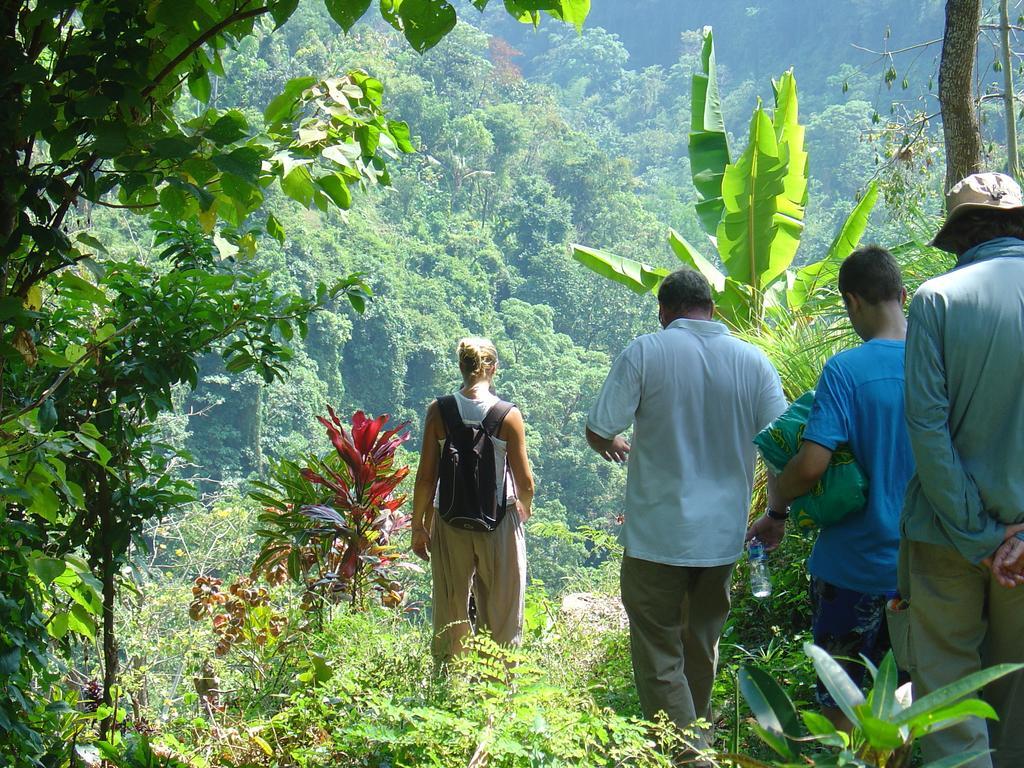 Gunung Paradis Retreat Munduk Eksteriør billede