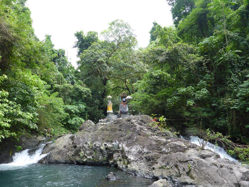 Gunung Paradis Retreat Munduk Eksteriør billede