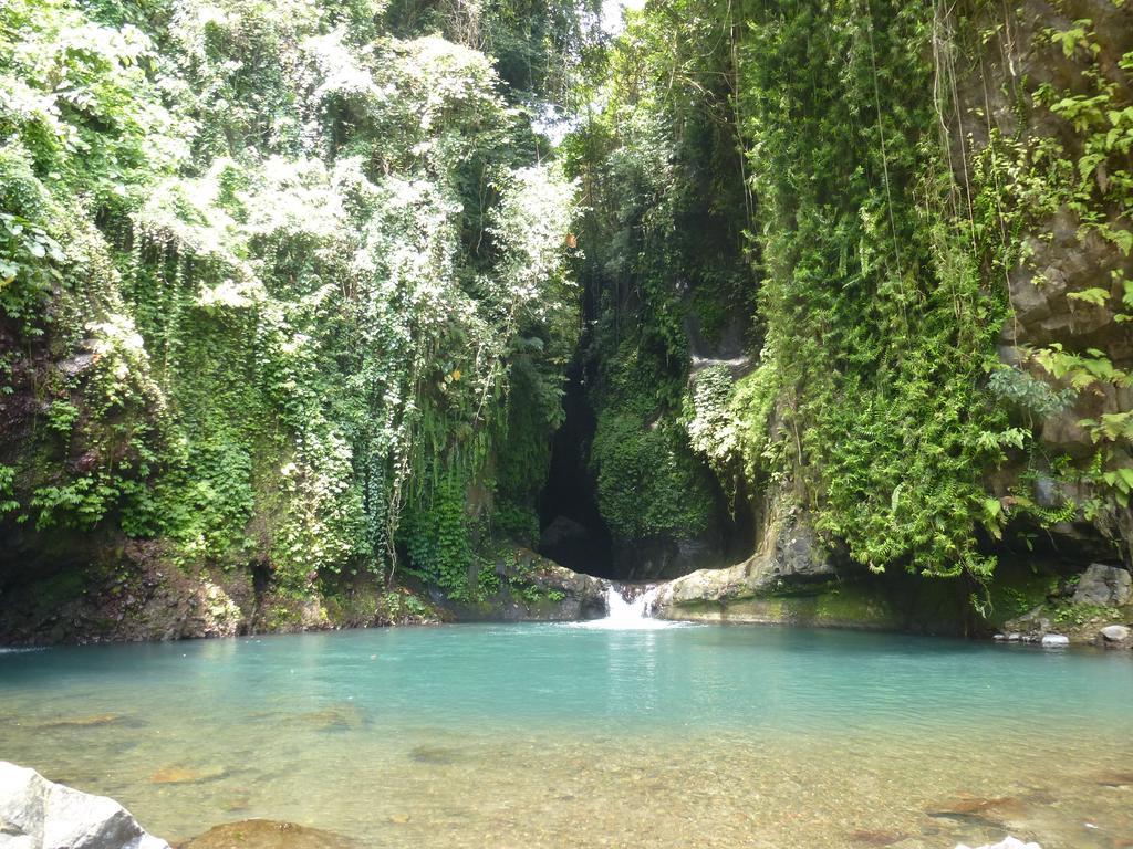 Gunung Paradis Retreat Munduk Eksteriør billede